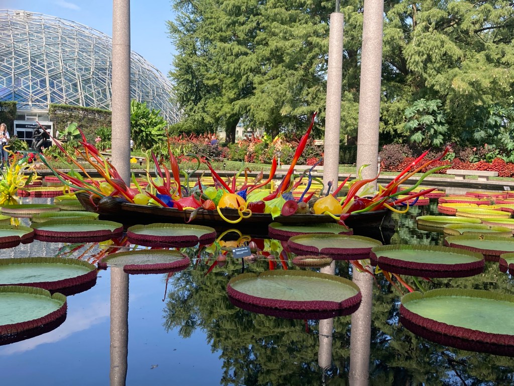 Scene from the Missouri Botanic Gardens showing a constructed pond with giant lily pads and Chihuly glass, with the Climatron dome in the background.