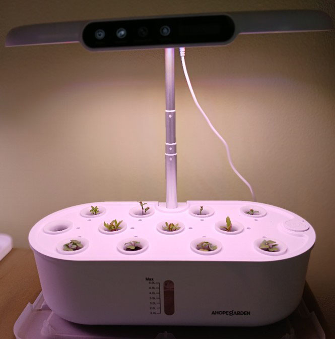 Desktop Hydroponics: Fresh Greens All Year – Johnson County Master ...
