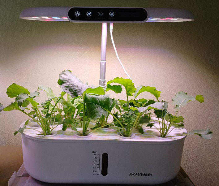 Desktop Hydroponics: Fresh Greens All Year – Johnson County Master ...